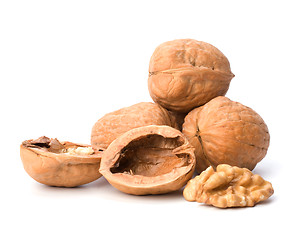 Image showing walnuts isolated on white background