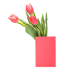 Image showing greeting card  with pink tulips  isolated on white background