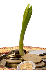 Image showing Money pot.  Business concept