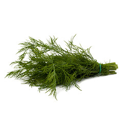 Image showing dill isolated on white background