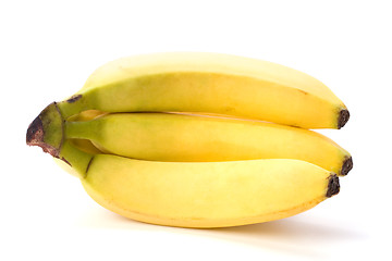 Image showing bananas isolated on white background