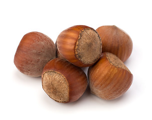 Image showing hazelnuts isolated on white background