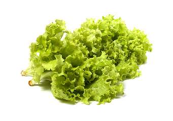 Image showing Lettuce salad isolated on white background 