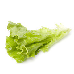 Image showing Lettuce salad isolated on white background