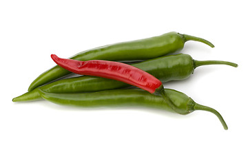 Image showing Chili pepper isolated on white background