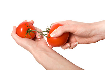 Image showing hands breaking fasten tomato isolated on white background 