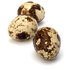 Image showing quail eggs