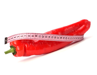 Image showing sexy pepper isolated on white background