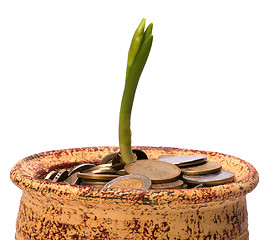 Image showing Money pot.  Business concept