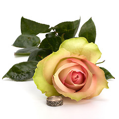 Image showing Beautiful rose with wedding ring  isolated on white background 