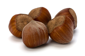 Image showing hazelnuts isolated on white background