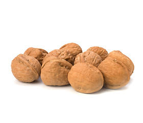 Image showing walnuts isolated on white background 