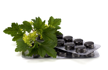 Image showing herbal medicine isolated on white background 