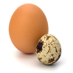 Image showing quail and hen's eggs 