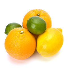 Image showing Citrus fruits