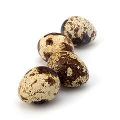 Image showing quail eggs