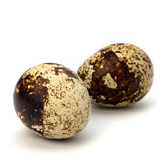 Image showing quail eggs