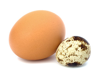 Image showing quail and hen's eggs