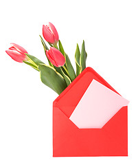 Image showing greeting card  with pink tulips  isolated on white background