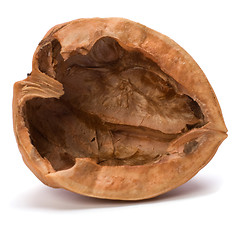 Image showing walnut shell