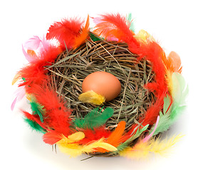 Image showing easter egg in nest isolated on white background