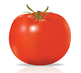 Image showing raster. tomato