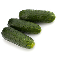 Image showing cucumber