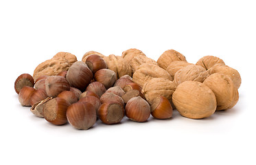 Image showing nuts isolated on white background 