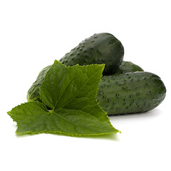 Image showing cucumber