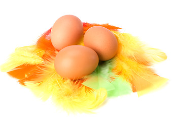 Image showing Eggs and feather isolated on white background. Easter decor.