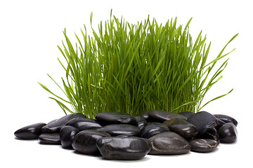 Image showing grass and stones isolated on white background