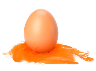 Image showing Egg and feather isolated on white background. Easter decor.