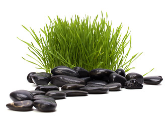 Image showing grass and stones isolated on white background