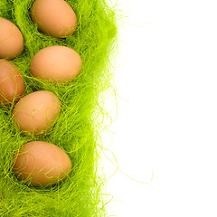 Image showing eggs border 