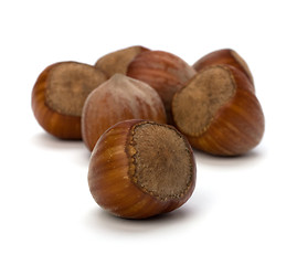 Image showing hazelnuts isolated on white background