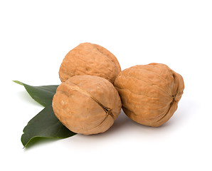 Image showing  walnut 