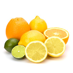 Image showing Citrus fruits