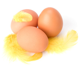 Image showing Eggs and feather isolated on white background. Easter decor.