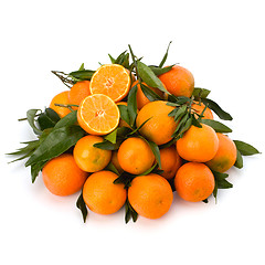 Image showing Tangerines 