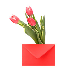 Image showing greeting card  with pink tulips  isolated on white background