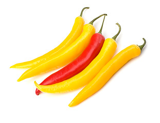 Image showing Chili pepper isolated on white background