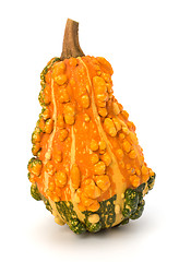 Image showing Decorative pumpkin 