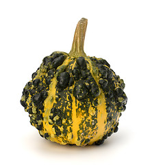 Image showing Decorative pumpkin 