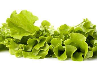 Image showing Lettuce salad isolated on white background