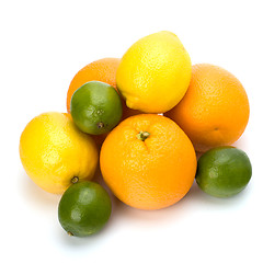 Image showing Citrus fruits