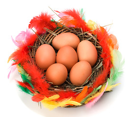 Image showing easter egg in nest isolated on white background