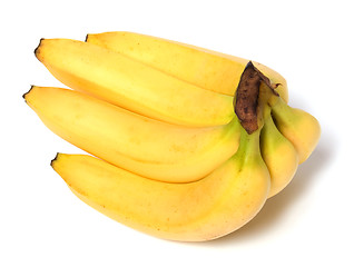 Image showing bananas isolated on white background 

