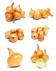 Image showing onions