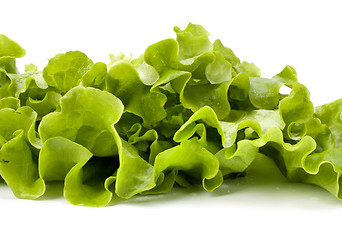 Image showing Lettuce salad isolated on white background