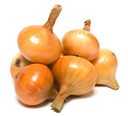 Image showing onion isolated on white background